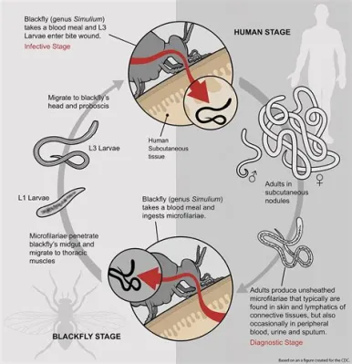  Zygophyllum: En parasit som kan leva en hel livscykel utan att någonsin träffa sin värd!